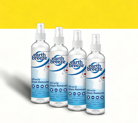 Stain Spray Bundle - 4 Pack
